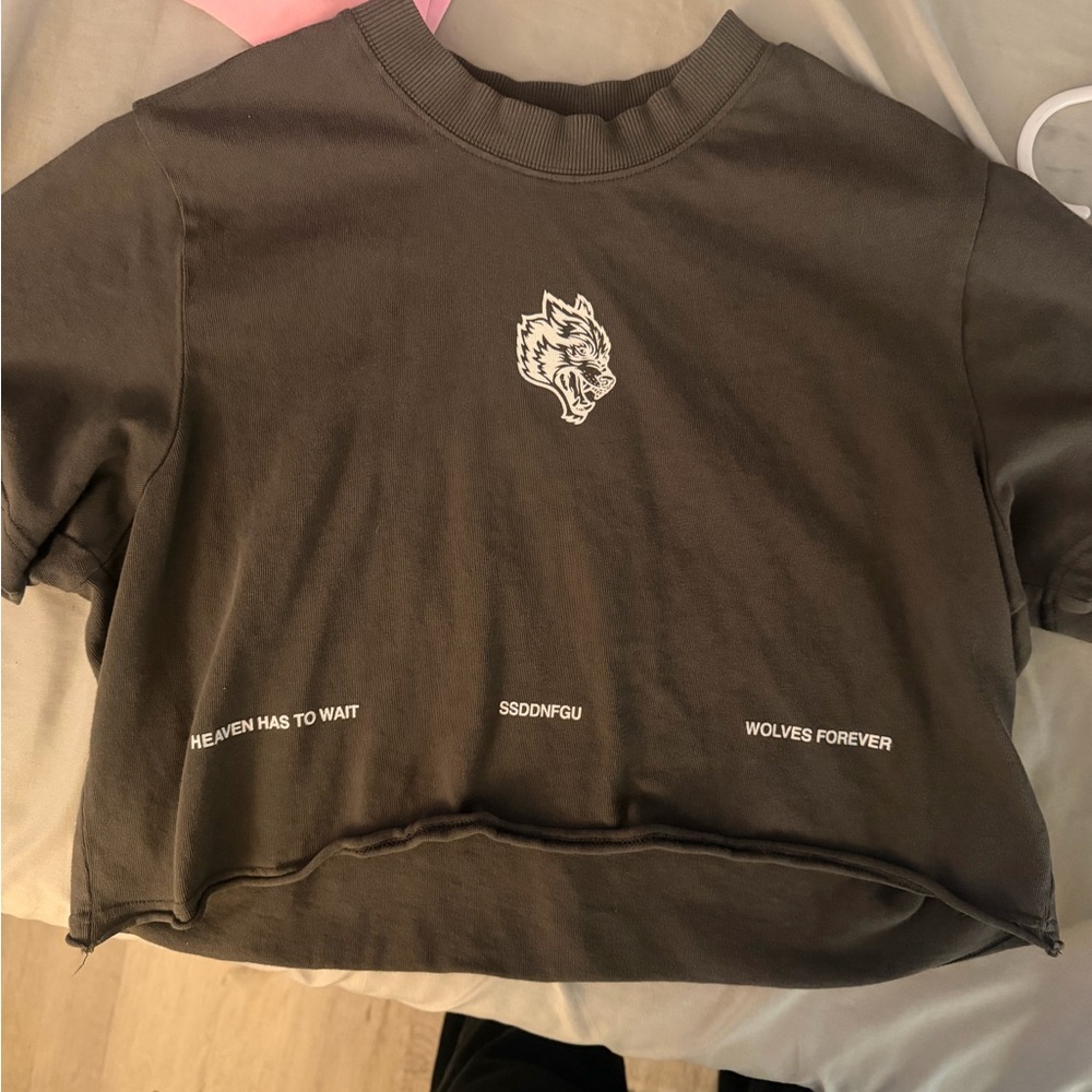 Darc Sport Gray Crop Top with White Wolf Design